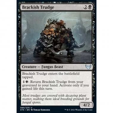 Brackish Trudge - Micopalustre Salmastro - [STX] [NM]