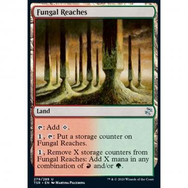 Fungal Reaches - Fungal Reaches - [TSR] [NM]