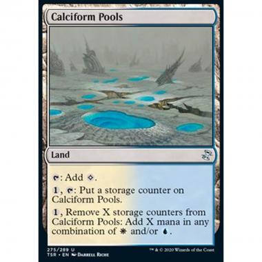 Calciform Pools - Calciform Pools - [TSR] [NM]