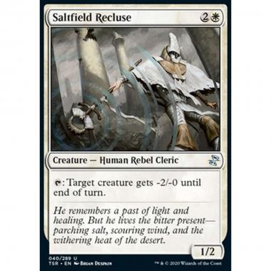Saltfield Recluse - Saltfield Recluse - [TSR] [NM]