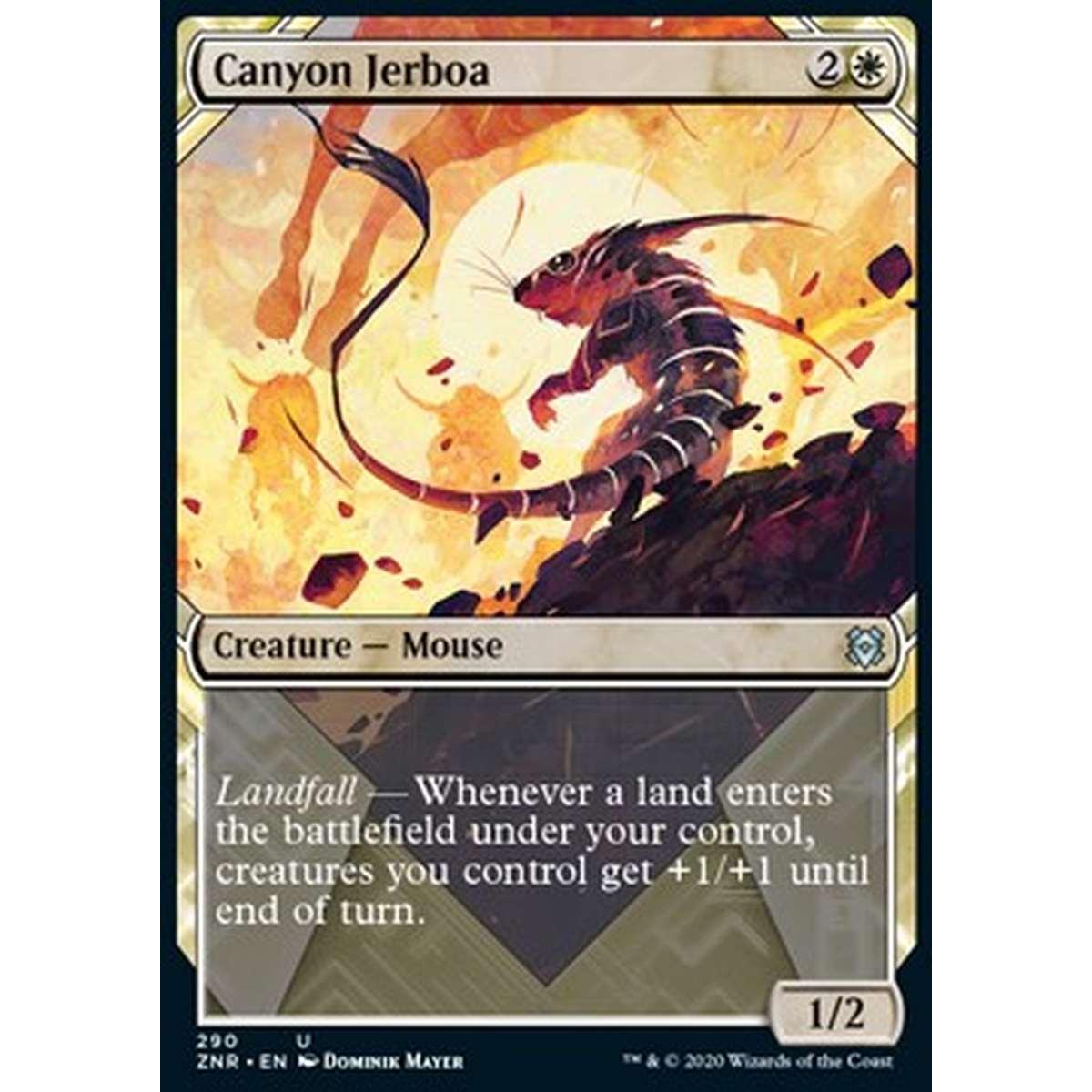 Canyon Jerboa - Gerboa del Canyon - [XZNR] [NM]