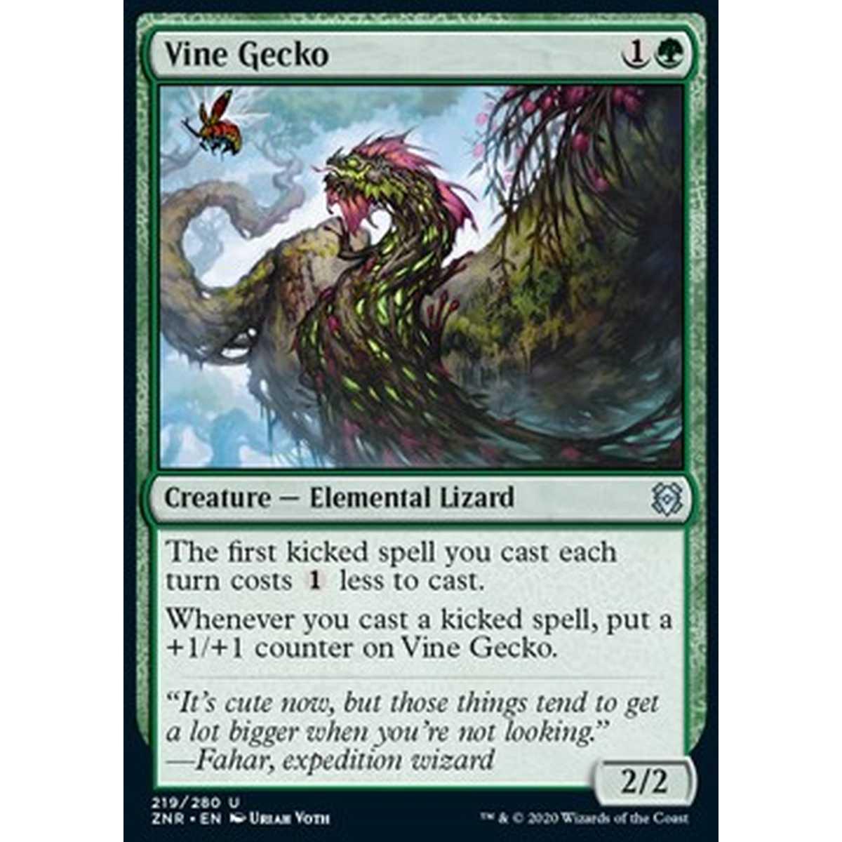 Vine Gecko - Geco dei Viticci - [ZNR] [NM]