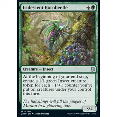 Iridescent Hornbeetle - Cornoleottero Iridescente - [ZNR] [NM]