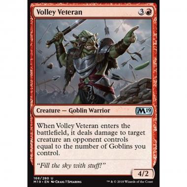 Volley Veteran - Volley Veteran - [M19] [NM]