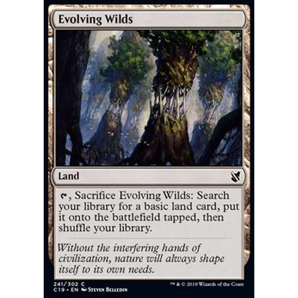 Evolving Wilds - Terre Selvagge in Evoluzione - [C19] [NM]