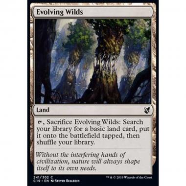 Evolving Wilds - Terre Selvagge in Evoluzione - [C19] [NM]