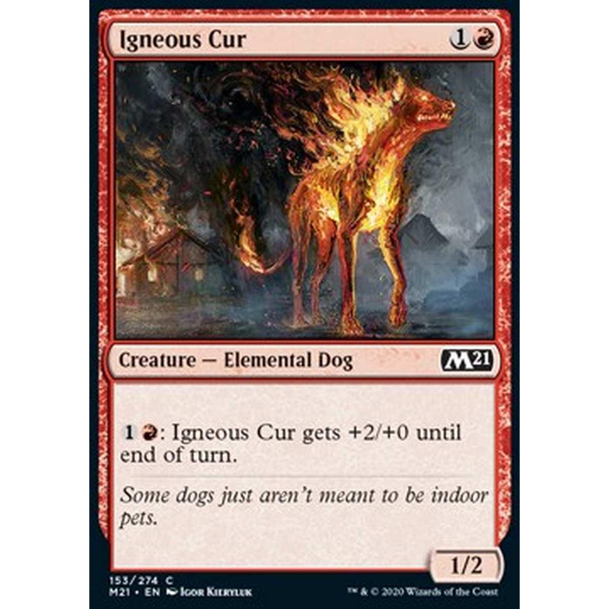 Igneous Cur - Randagio Igneo - [M21] [NM] [Foil]