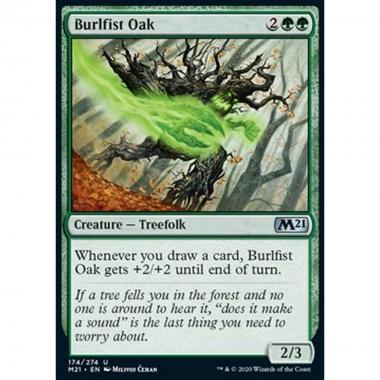 Burlfist Oak - Quercia Pugno Nodoso - [M21] [NM]