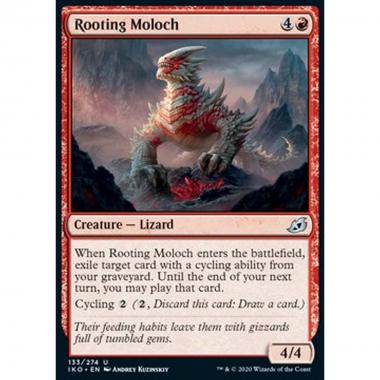 Rooting Moloch - Moloc Abbarbicato - [IKO] [NM]