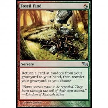 Fossil Find - Fossil Find - [SHM] [NM]