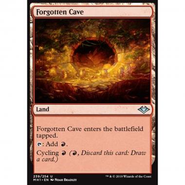 Forgotten Cave - Forgotten Cave - [MH1] [NM]