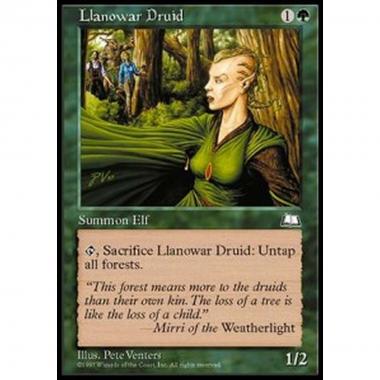 Llanowar Druid - Llanowar Druid - [WTH] [EX]