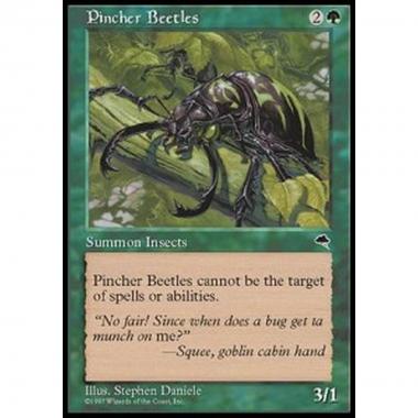 Pincher Beetles - Scarafaggi Chelati - [TP] [EX]