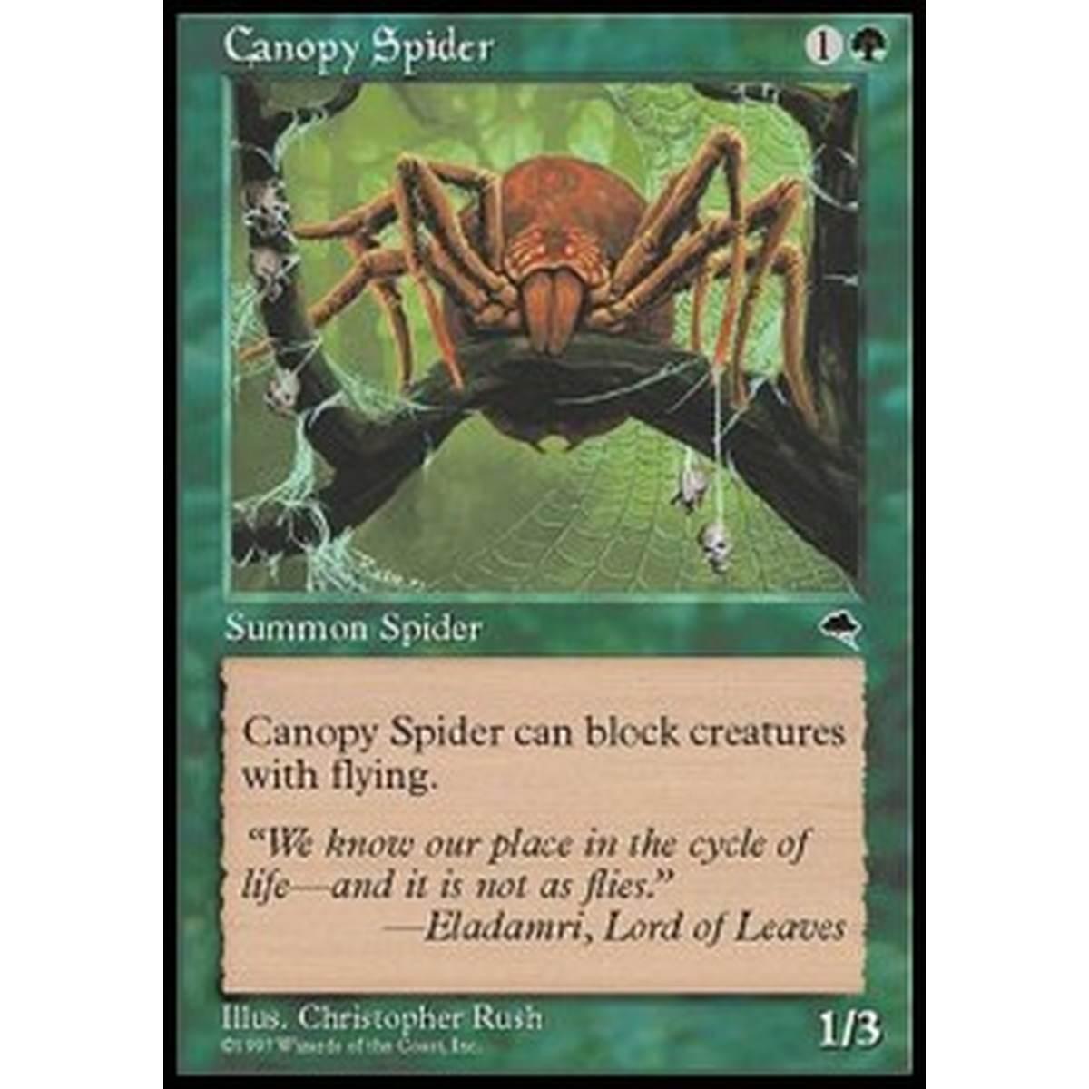 Canopy Spider - Ragno delle Fronde - [TP] [EX]