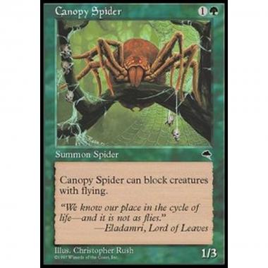 Canopy Spider - Ragno delle Fronde - [TP] [EX]