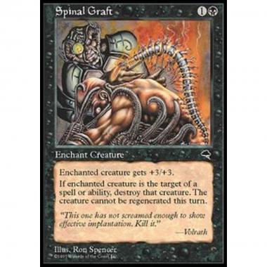 Spinal Graft - Innesto Spinale - [TP] [EX]