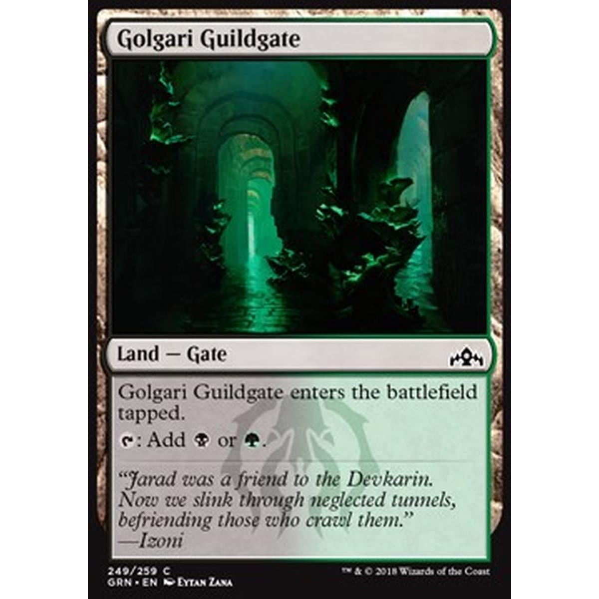 Golgari Guildgate (V.2) - Cancello della Gilda Golgari (V.2) - [GRN] [NM] [Foil]