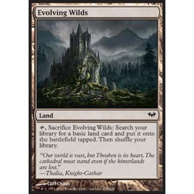 Evolving Wilds - Terre Selvagge in Evoluzione - [DKA] [NM]