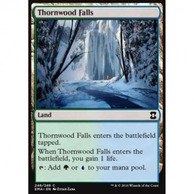 Thornwood Falls - Thornwood Falls - [EMA] [NM]
