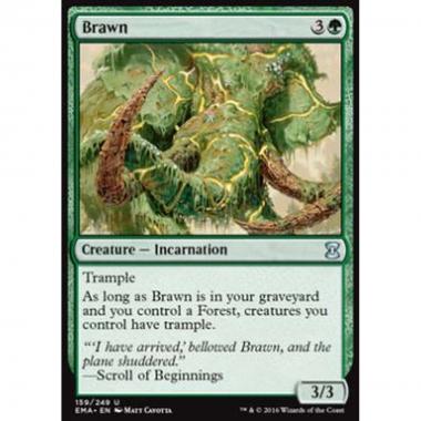 Brawn - Brawn - [EMA] [NM]