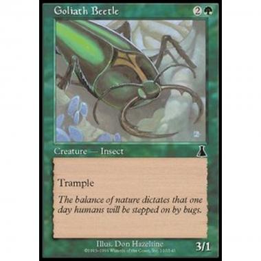 Goliath Beetle - Scarafaggio Golia - [UDS] [EX]