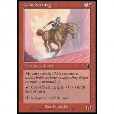 Colos Yearling - Cucciolo di Colos - [UDS] [EX]