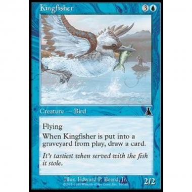 Kingfisher - Martin pescatore - [UDS] [EX]