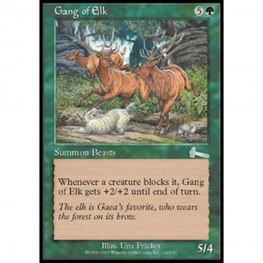 Gang of Elk - Branco di Alci - [ULG] [EX]