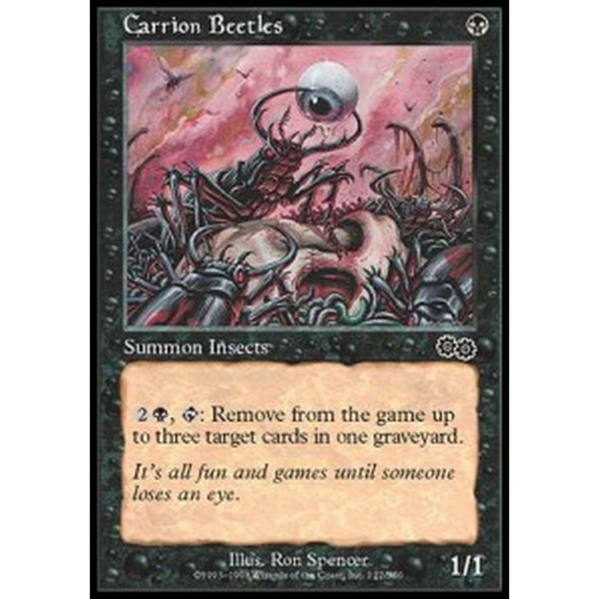 Carrion Beetles - Carrion Beetles - [USG] [EX]