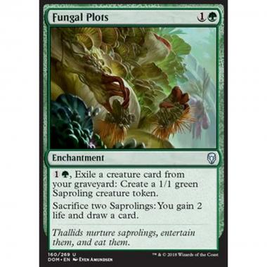 Fungal Plots - Colture Fungine - [DOM] [NM]