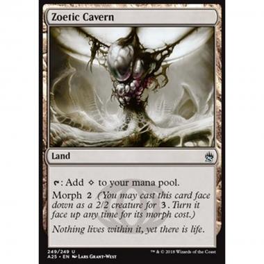 Zoetic Cavern - Zoetic Cavern - [A25] [NM]