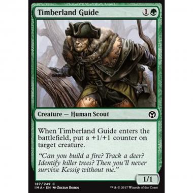 Timberland Guide - Timberland Guide - [IMA] [NM] [Foil]
