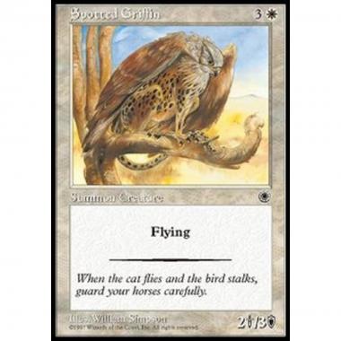 Spotted Griffin - Spotted Griffin - [POR] [NM]