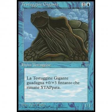 Giant Tortoise - Testuggine Gigante - [RI] [NM]