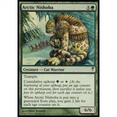 Arctic Nishoba - Nishoba Artico - [CSP] [NM]
