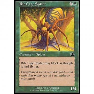 Rib Cage Spider - Ragno della Gabbia d'Ossa - [PCY] [EX]
