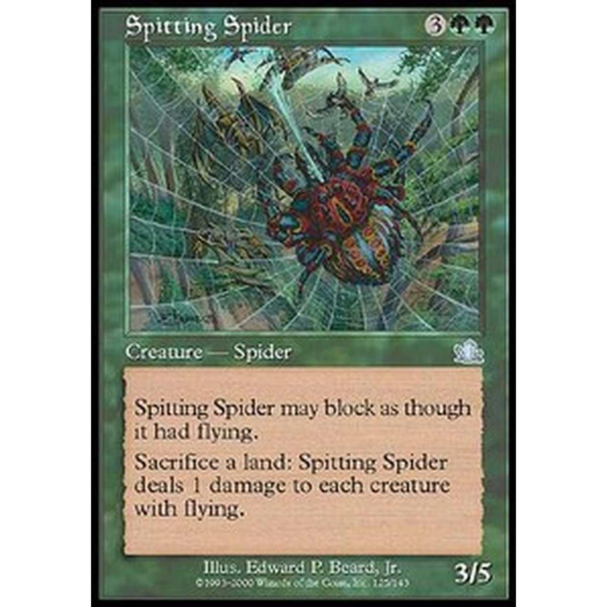 Spitting Spider - Spitting Spider - [PCY] [EX]