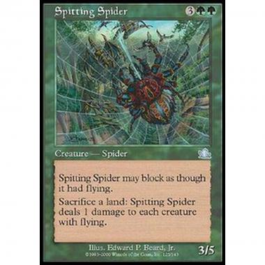 Spitting Spider - Spitting Spider - [PCY] [EX]