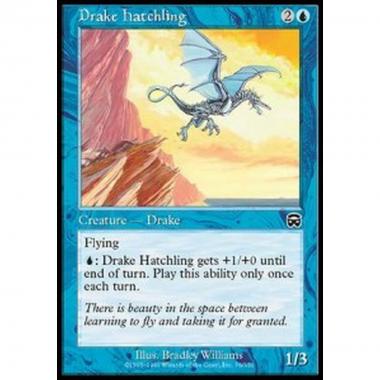 Drake Hatchling - Drake Hatchling - [MMQ] [EX]