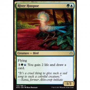 River Hoopoe - Upupa di Fiume - [HOU] [NM]