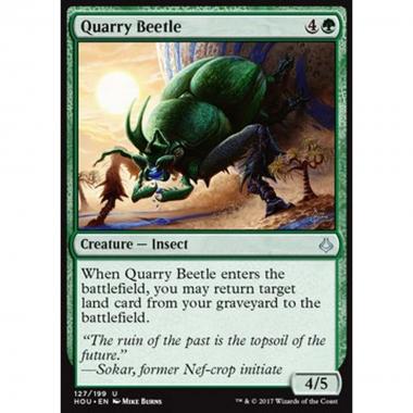 Quarry Beetle - Coleottero della Cava - [HOU] [NM]
