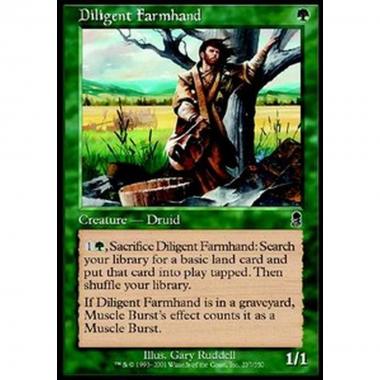 Diligent Farmhand - Bracciante Diligente - [ODY] [EX]