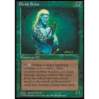 Elvish Scout (V.1) - Elvish Scout (V.1) - [FEM] [EX]