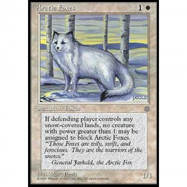 Arctic Foxes - Arctic Foxes - [ICE] [EX]