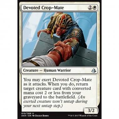 Devoted Crop-Mate - Comessiano Devoto - [AKH] [NM]