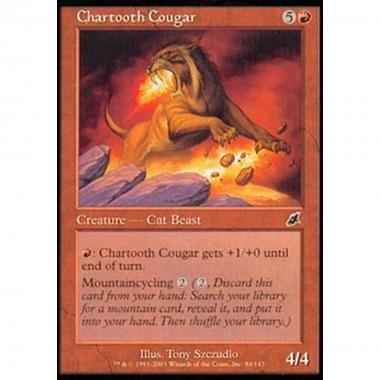 Chartooth Cougar - Chartooth Cougar - [SCG] [EX]