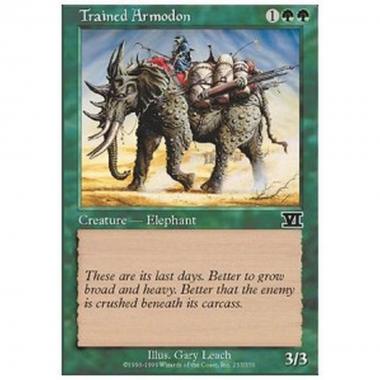 Trained Armodon - Armodonte Addestrato - [6ED] [NM]