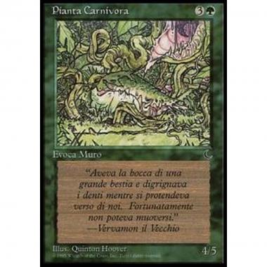 Carnivorous Plant - Pianta Carnivora - [DKIT] [EX]
