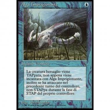 Tangle Kelp - Alga Imprigionante - [DKIT] [EX]