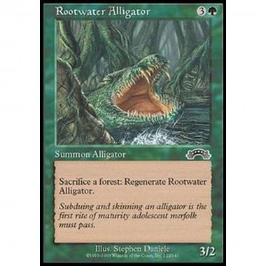 Rootwater Alligator - Alligatore di Morteacque - [EXO] [NM]